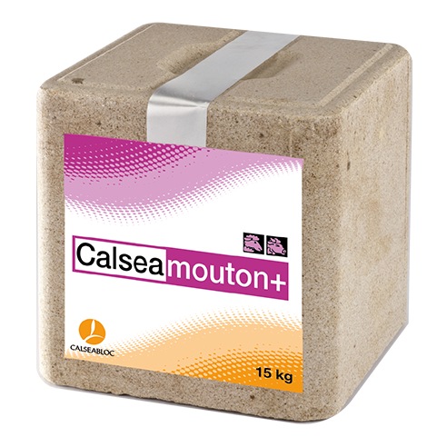 Calsea Mineralleckstein "Mouton" 15 kg