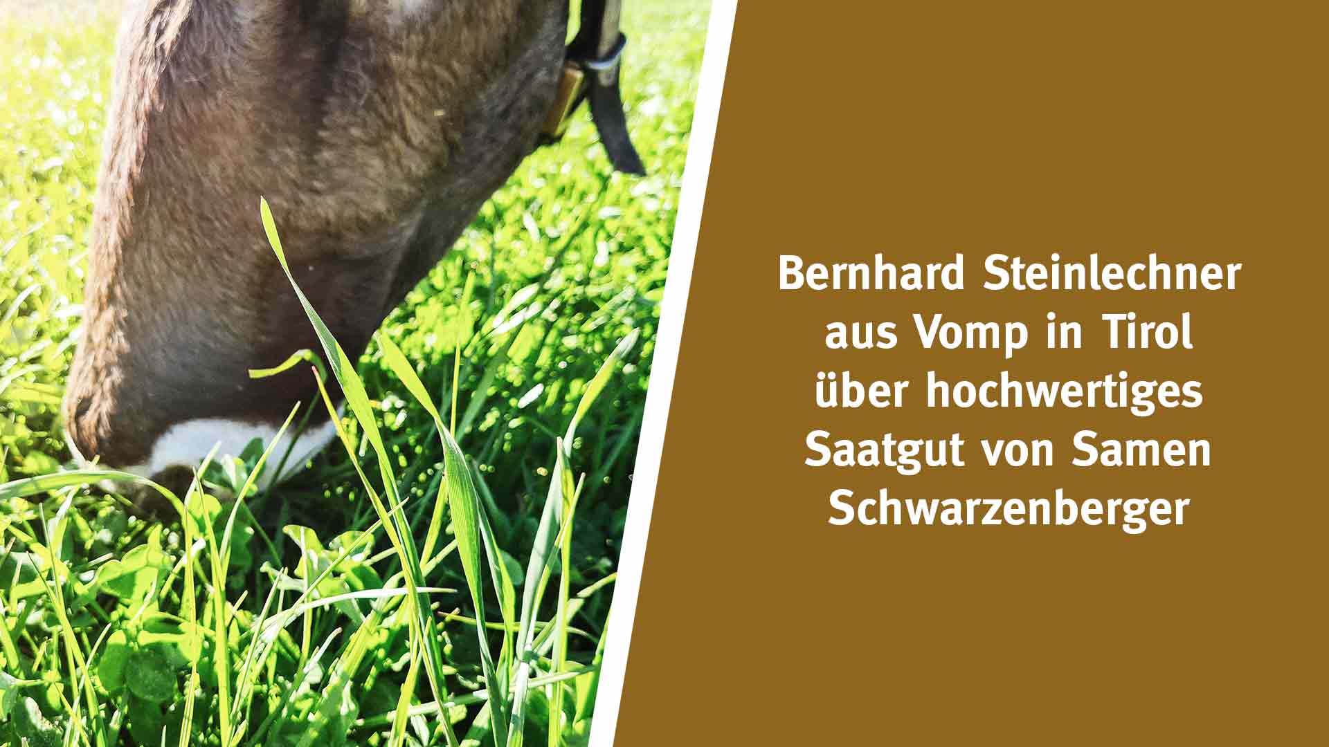 Bernhard Steinlechner aus Vomp in Tirol über hochwertiges Saatgut von Samen Schwarzenberger
